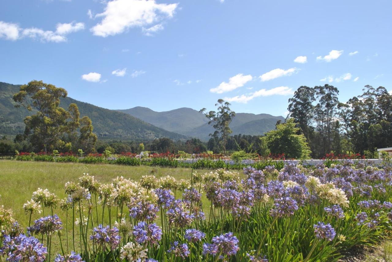 Lombard Villa Plettenberg Bay Dış mekan fotoğraf
