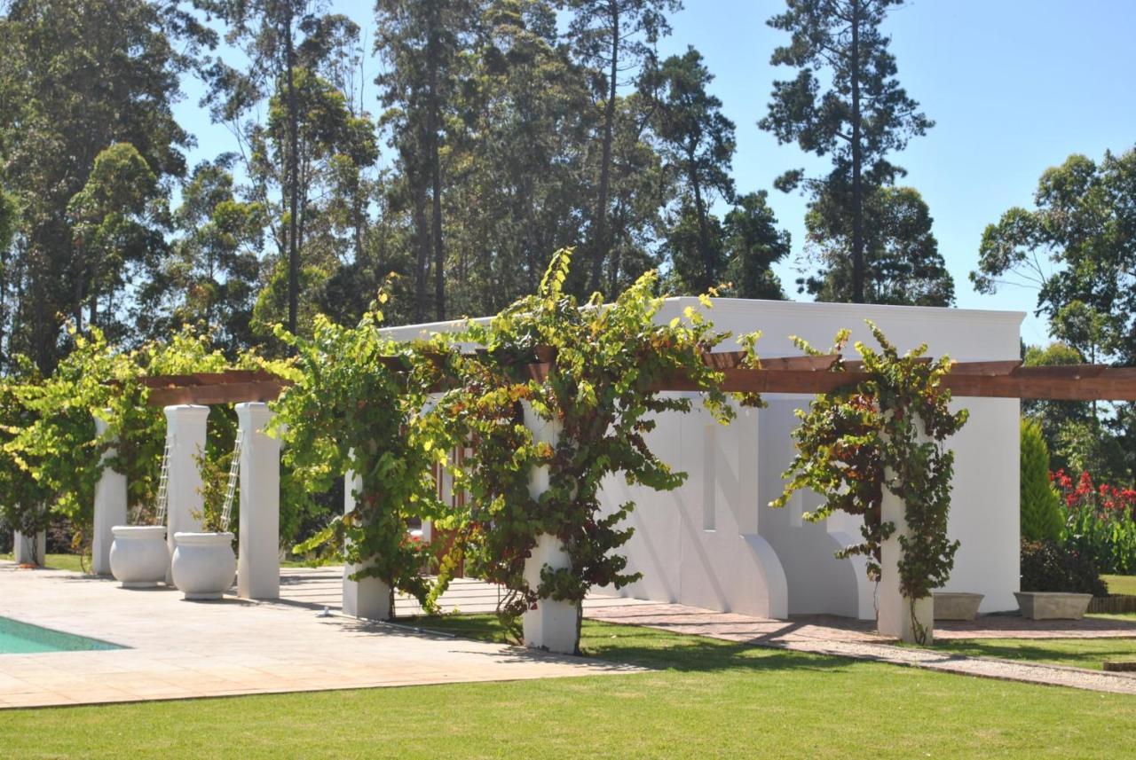 Lombard Villa Plettenberg Bay Dış mekan fotoğraf